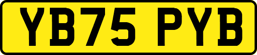 YB75PYB