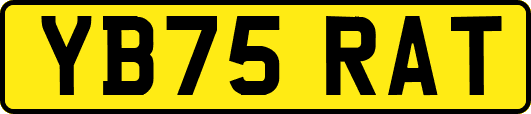 YB75RAT