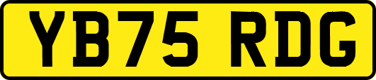 YB75RDG
