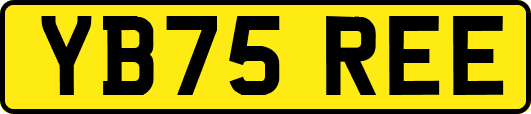 YB75REE