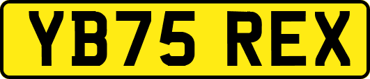 YB75REX