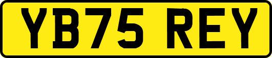 YB75REY