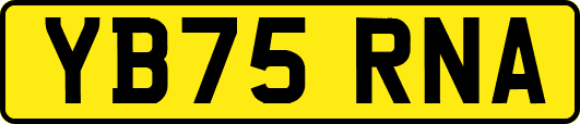 YB75RNA
