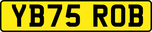 YB75ROB