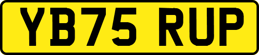 YB75RUP