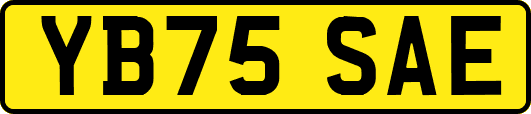 YB75SAE