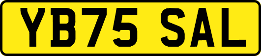 YB75SAL