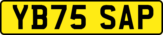 YB75SAP