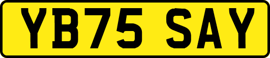 YB75SAY