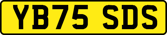 YB75SDS