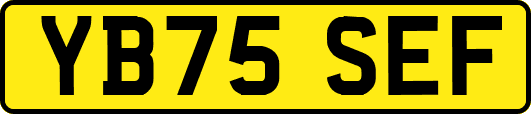 YB75SEF
