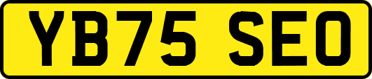 YB75SEO