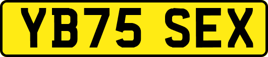 YB75SEX