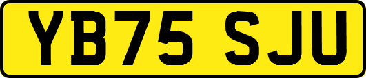 YB75SJU