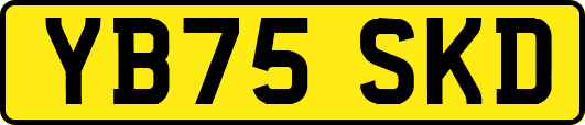 YB75SKD