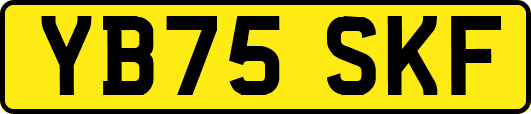 YB75SKF