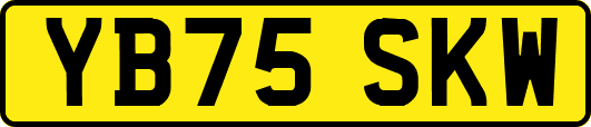 YB75SKW