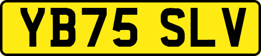 YB75SLV