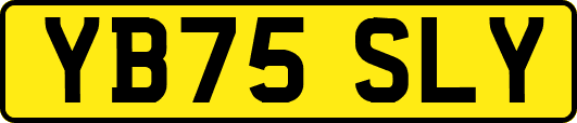 YB75SLY