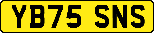 YB75SNS