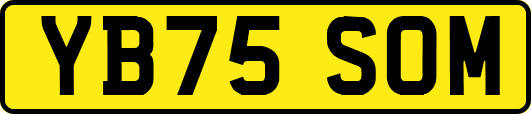 YB75SOM