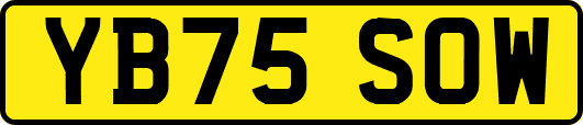 YB75SOW
