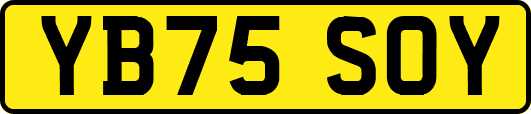 YB75SOY