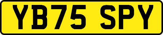 YB75SPY