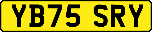 YB75SRY