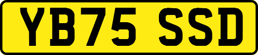 YB75SSD