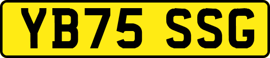 YB75SSG