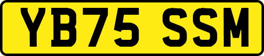 YB75SSM