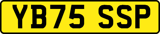 YB75SSP