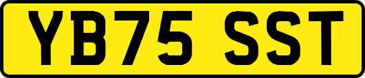 YB75SST