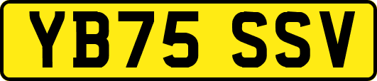 YB75SSV