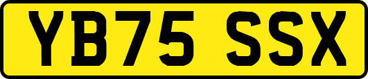 YB75SSX