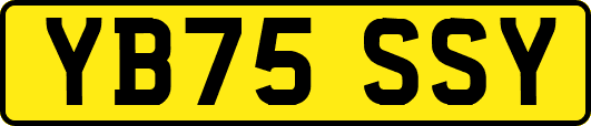 YB75SSY
