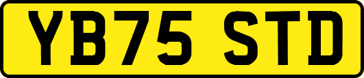 YB75STD