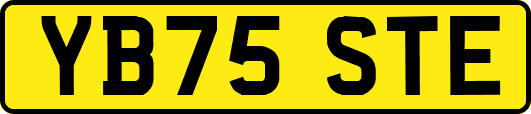 YB75STE