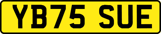 YB75SUE