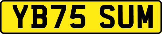 YB75SUM