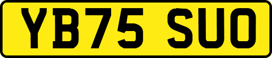 YB75SUO