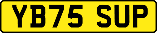 YB75SUP