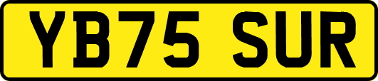 YB75SUR