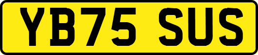 YB75SUS