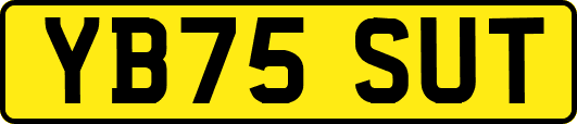YB75SUT