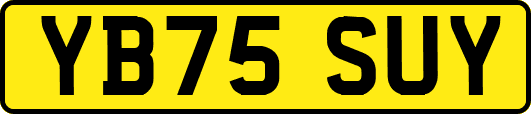 YB75SUY