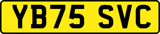 YB75SVC