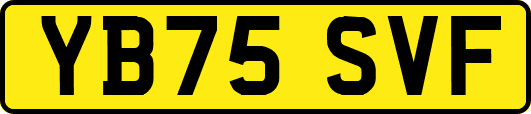 YB75SVF