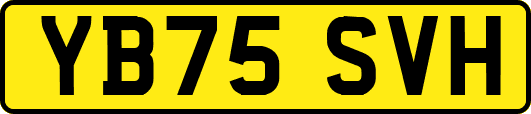 YB75SVH